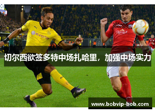 切尔西欲签多特中场扎哈里，加强中场实力