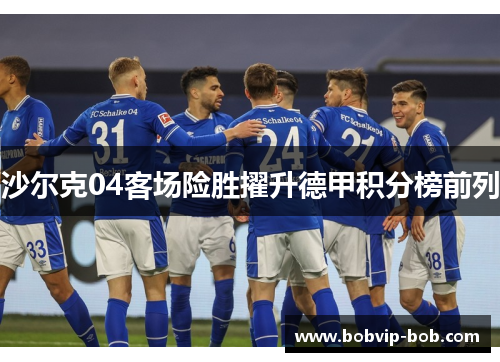 沙尔克04客场险胜擢升德甲积分榜前列